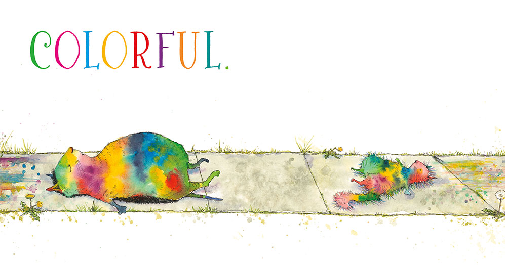 Jennifer Black Reinhardt